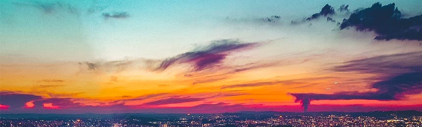 信阳茶虫网_信阳品茶